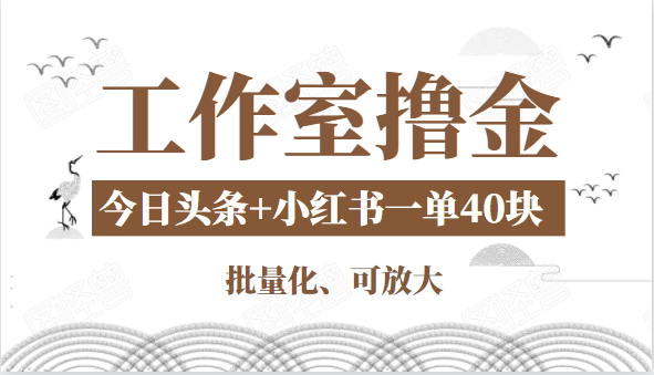 工作室撸金二件套：撸今日头条原创收益+小红书一单利润40块项目-阿信资源库