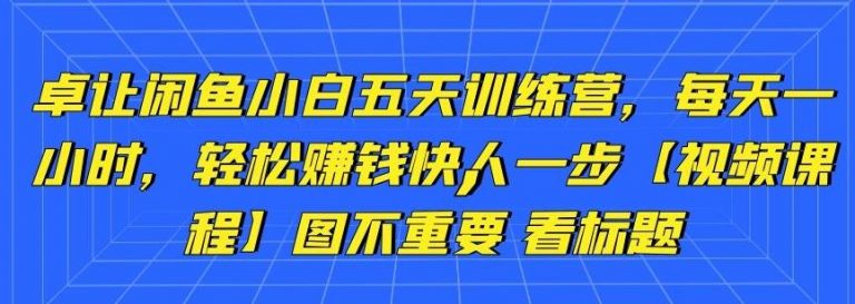 卓让闲鱼小白五天训练营，每天一小时，轻松赚钱快人一步-阿信资源库