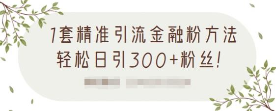 1套精准引流金融粉方法，轻松日引300+粉丝-阿信资源库