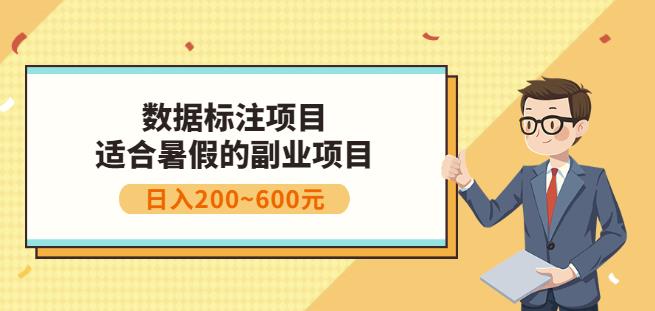 副业赚钱：人工智能数据标注项目，简单易上手，小白也能日入200+-阿信资源库