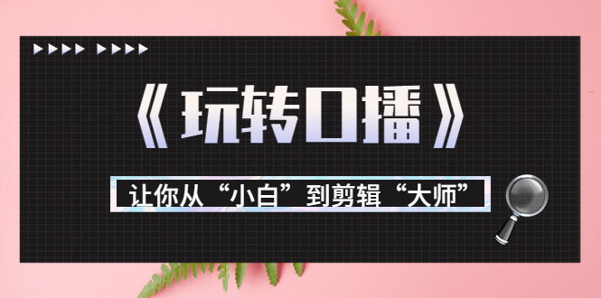 月营业额700万+大佬教您《玩转口播》让你从“小白”到剪辑“大师”-阿信资源库