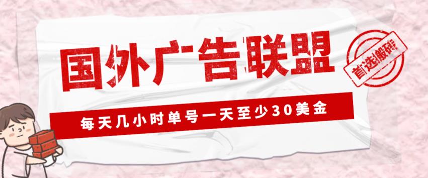 外面收费1980的最新国外LEAD广告联盟搬砖项目，单号一天至少30美金【详细玩法教程】-阿信资源库