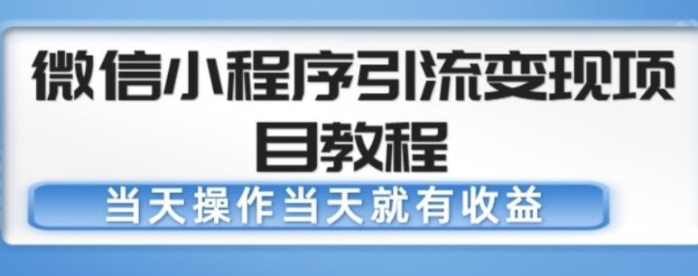 微信小程序引流变现项目教程，当天操作当天就有收益，变现不再是难事-阿信资源库