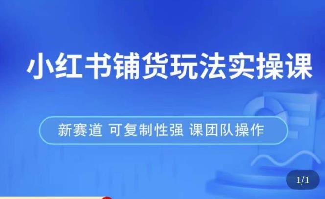 小红书铺货玩法实操课，流量大，竞争小，非常好做，新赛道，可复制性强，可团队操作-阿信资源库