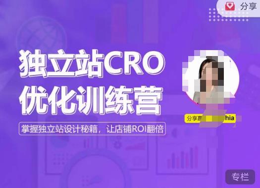 独立站CRO优化训练营，掌握独立站设计秘籍，打造高转化的独立站，让店铺ROI翻倍-阿信资源库