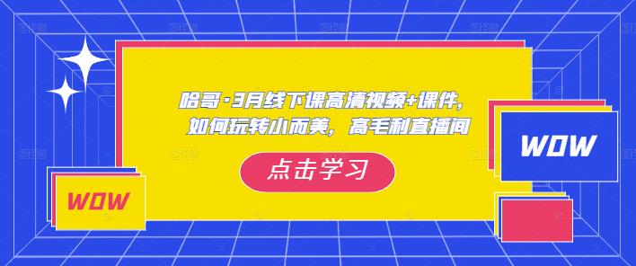 哈哥·3月线下实操课高清视频+课件，如何玩转小而美，高毛利直播间-阿信资源库