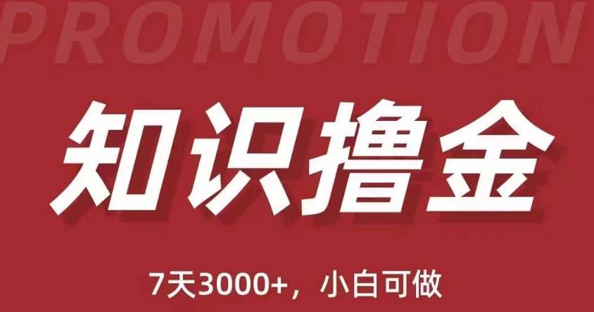 抖音知识撸金项目：简单粗暴日入1000+执行力强当天见收益(教程+资料)-阿信资源库