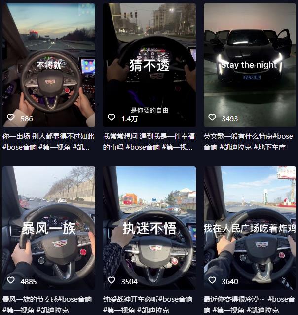抖音开车视频项目，0基础操作，每天五分钟，月入1W+【揭秘】-阿信资源库