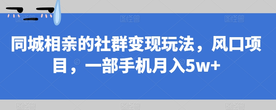 同城相亲的社群变现玩法，风口项目，一部手机月入5w+【揭秘】-阿信资源库