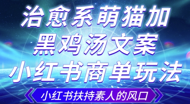 治愈系萌猫加+黑鸡汤文案，小红书商单玩法，3~10天涨到1000粉，一单200左右-阿信资源库