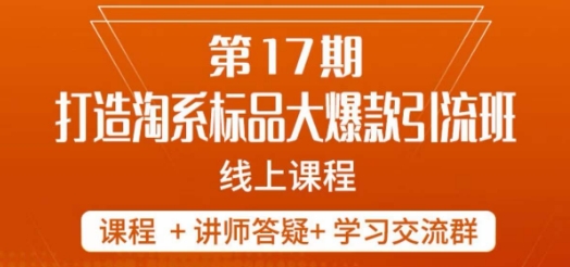 南掌柜-第17期打造淘系标品大爆款，5天线上课-阿信资源库