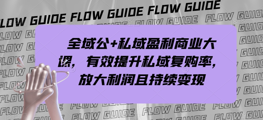 全域公+私域盈利商业大课，有效提升私域复购率，放大利润且持续变现-阿信资源库