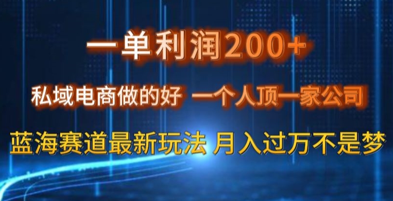 一单利润200私域电商做的好，一个人顶一家公司蓝海赛道最新玩法【揭秘】-阿信资源库